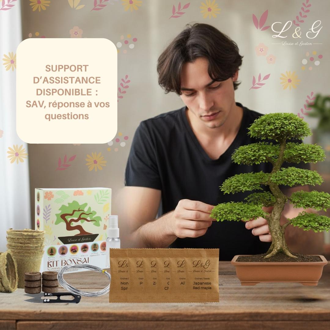 Kit 6 Bonsaï à faire pousser – Idée Cadeau Jardinage