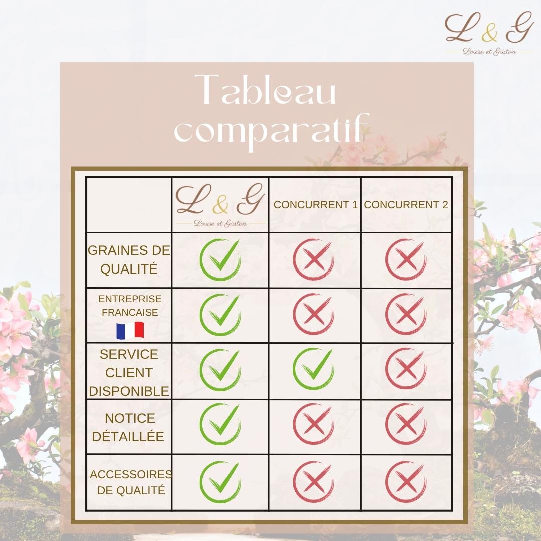 Kit 6 Bonsaï à faire pousser – Idée Cadeau Jardinage