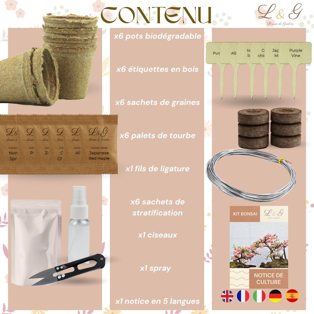 Kit 6 Bonsaï à faire pousser – Idée Cadeau Jardinage