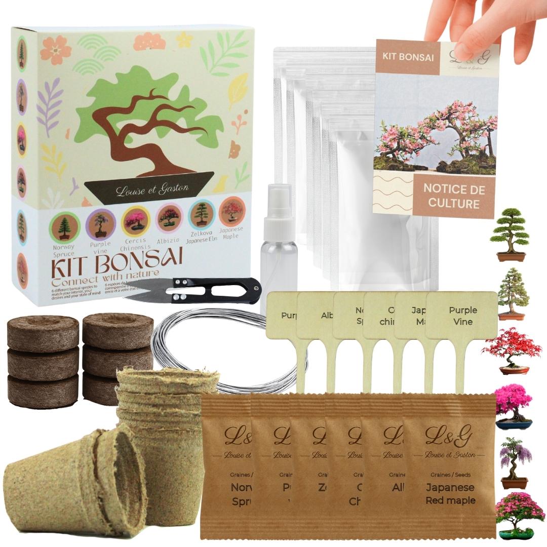 6 Bonsai zum Selberziehen – Komplettes Bonsai Set