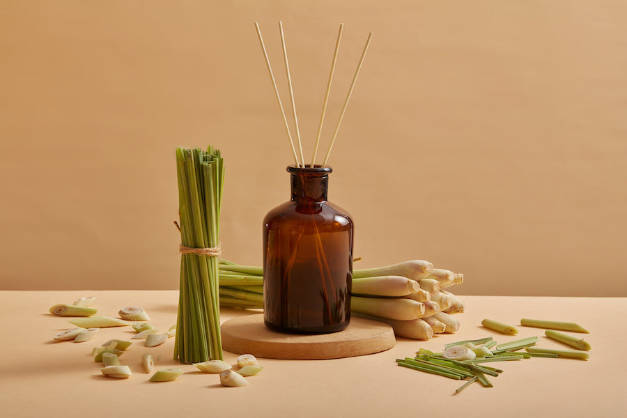 Comment la citronnelle est utilisée dans le monde ? Cuisine, remèdes et boissons