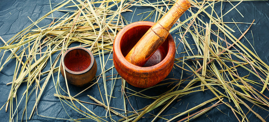 Herbe de bison : bienfaits, arômes et usages culinaires méconnus