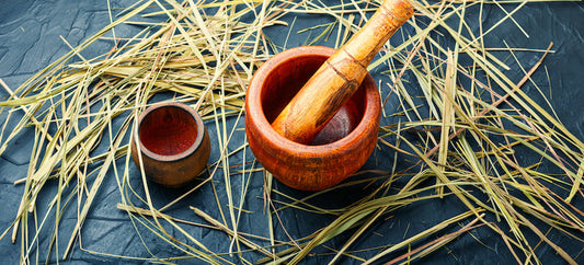 Herbe de bison : bienfaits, arômes et usages culinaires méconnus