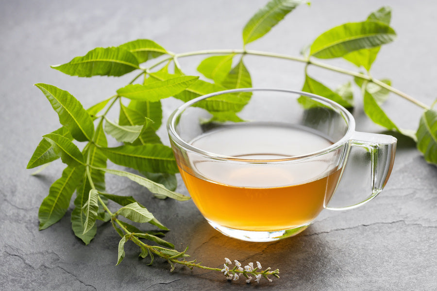 Mélanges d’infusion à la verveine : des idées pour personnaliser vos boissons