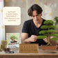 Kit 6 Bonsaï à faire pousser – Idée Cadeau Jardinage