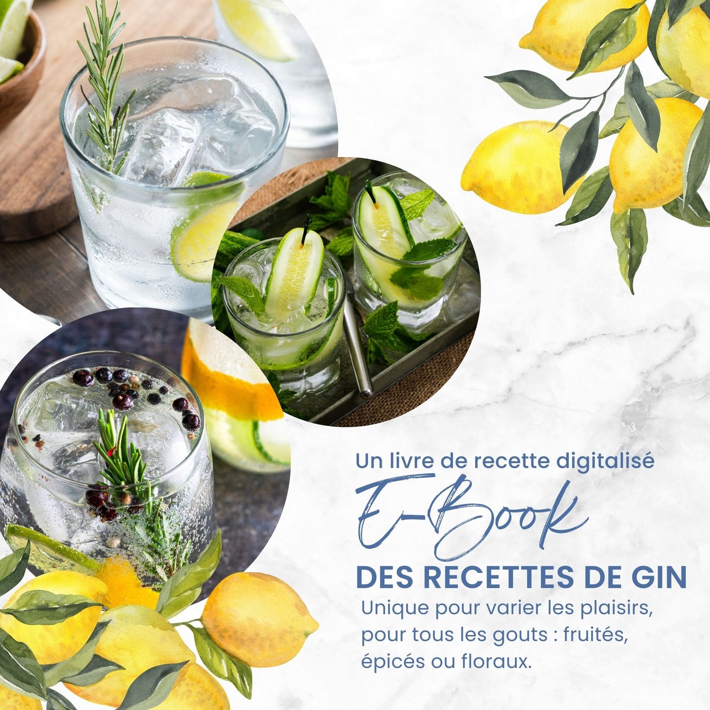 Kit Découverte d'Épices pour Gin Personnalisé